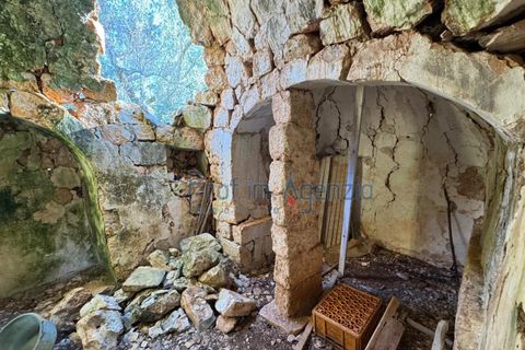 Landejendom i Ostuni, Brindisi, Ostuni - € 90.000 | Ref: 172814 - foto 13